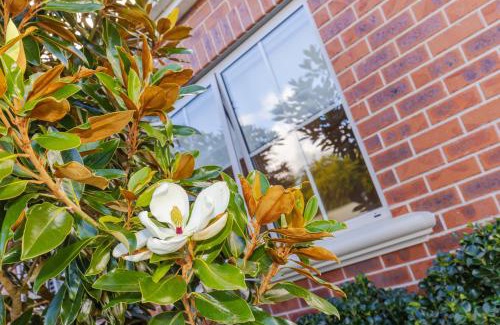 Cambridge Apartment | Sweet Magnolia 1 or 2 BR Suite St Kilda Cambridge with Complimentary Continental Breakfast