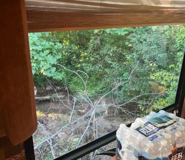 Mountain City Other | Swift Hollow Luna Hideaway