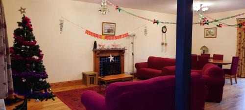Holsworthy House | Swifts Barn Stanbury Wharf