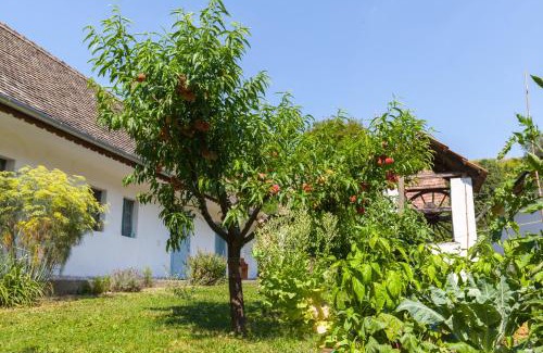 Szalka Apartment | Szálkai Vályogház Vendégház