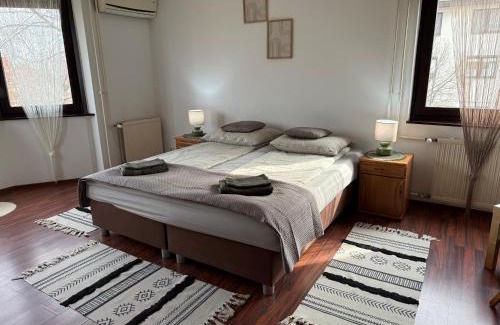 Szolnok Apartment | Szántó apartman