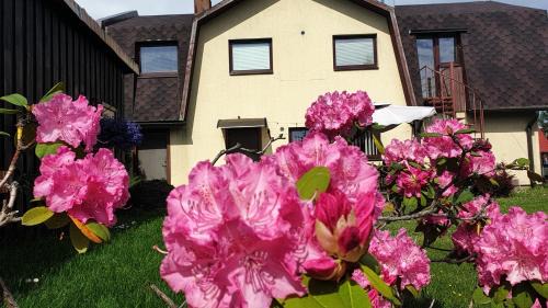 Parnu House | Tähe Holiday Home