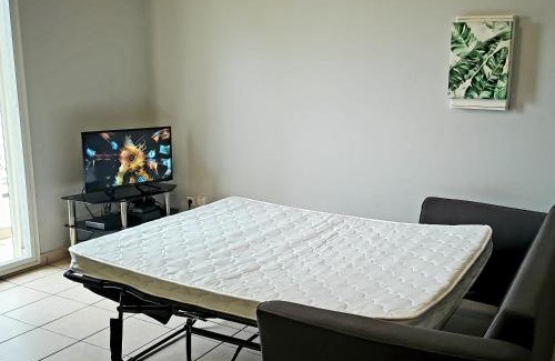 Centre Ville Apartment | T2 au rez de chaussée, parking privé et wifi haut débit