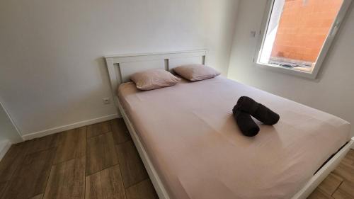 Pont des Demoiselles-Montaudran-La Terrasse Apartment | T2 Cité de l'Espace -4Pers - fully equipped