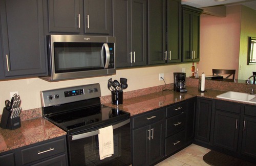 Indian Point Condo | Table Rock Lake, Luxury Lake front condo, jacuzzi ,5 min to Silver Dollar City
