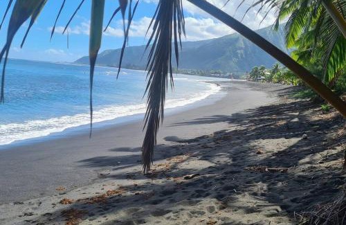 Papara House | Taharu'u Guest House By The Beach