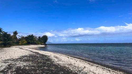 Papara House | TAHITI - Bungalow Arii
