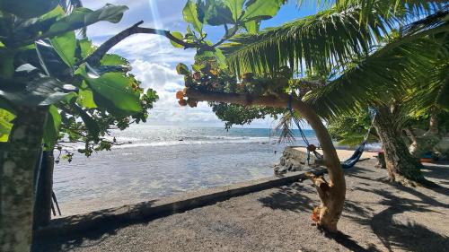 Afaahiti House | TAHITI - Motu Nono Beach View
