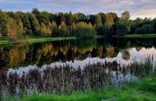 Simlangsdalen Hotel | Tallhöjden hotel & Nature Lodge