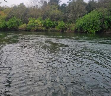 Albert Falls Apartment | Tally-Grey Cottage