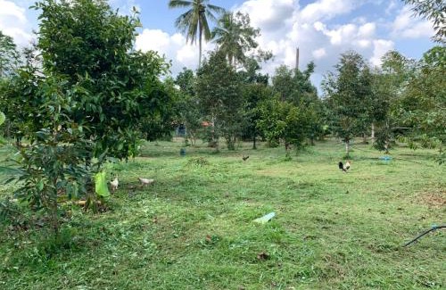 Lan Saka House | Taluangjit Resort&Garden
