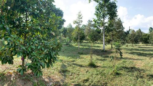 Lan Saka House | Taluangjit Resort&Garden