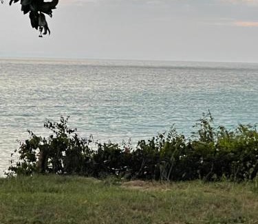 Mbweni Villa | Tamarind Tree Zanzibar