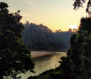 Kuala Tahan House | Tamu Rimba Taman Negara