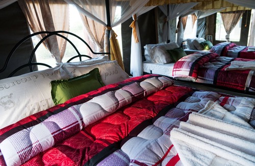 Saadani National Park Other | Tanganyika Coastal Campsite