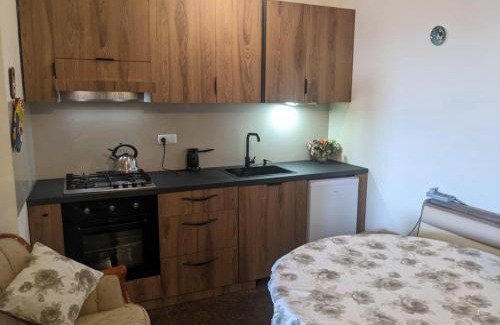 Vake-Saburtalo Apartment | tbilisi