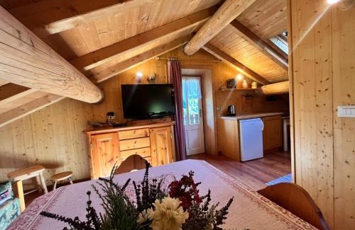 Livigno Apartment | Tea da Nardo in Val Federia