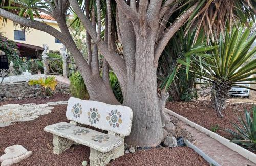 Santa Barbara Apartment | Tenerife apartment 100m2 CASA DE DON QUIJOTE with a terrace of 100m2 with a view of the ocean and Teide volcano and a garden of 600m2