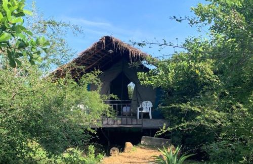 Tissamaharama Other | Tented Safari Camp by Base Camp Yala