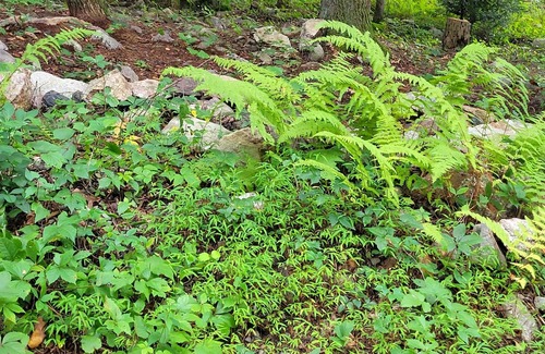 Tower City RV Rental | Tentrr Signature Site - Mountain Laurel Retreat