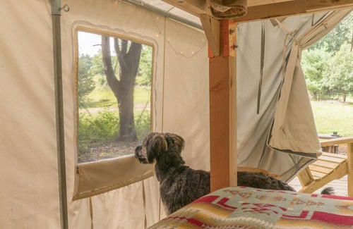 South Berwick RV Rental | Tentrr Signature Site - Baker's Spring Horse Camp