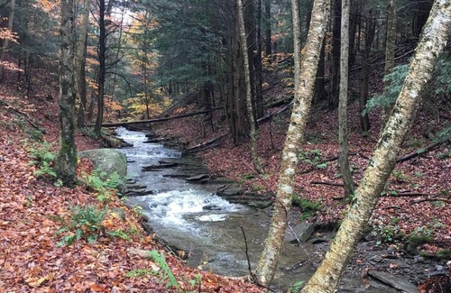 Truxton RV Rental | Tentrr Signature Site - Christmas Tree Farm Hideaway