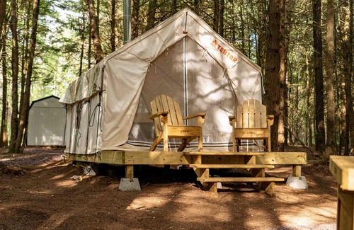 Kauneonga Lake Other | Tentrr Signature Site - Purple Haze at the Tentrr Catskill Retreat - Single Camp