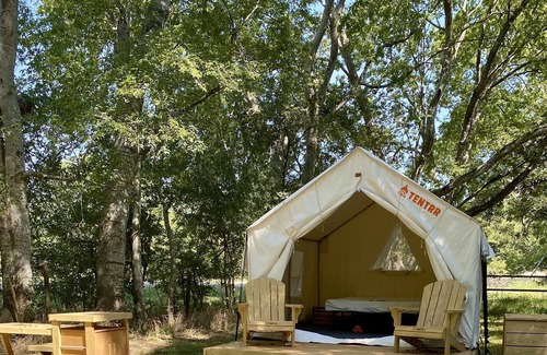 Texas Gulf Coast Region RV Rental | Tentrr State Park Site - Texas Brazos Bend State Park - Trailside B - Single Cam