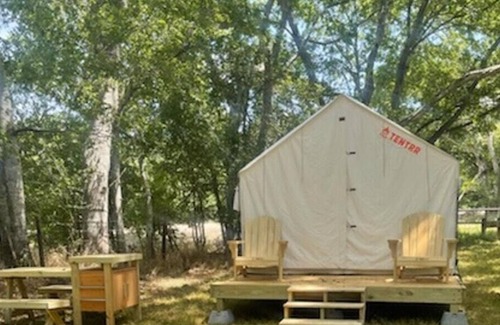 Texas Gulf Coast Region RV Rental | Tentrr State Park Site - Texas Brazos Bend State Park - Trailside B - Single Cam