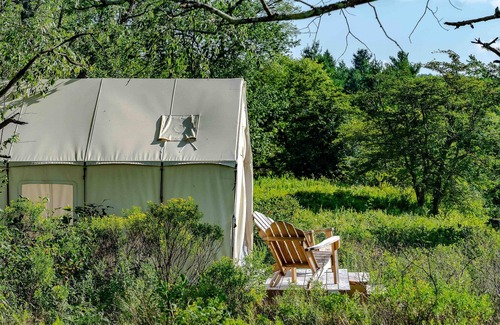 Davis RV Rental | Tentrr State Park Site - WV Blackwater Falls State Park - Site C - Double Camp