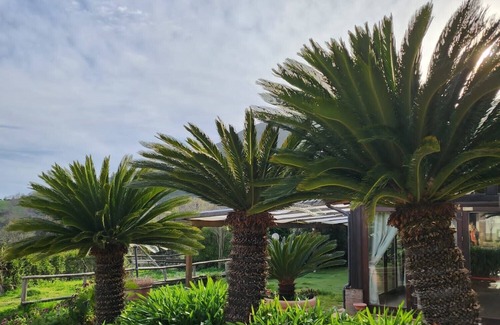 San Mauro La Bruca House | Tenuta D'Arienzo