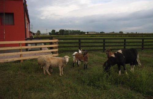 Motta de' Conti House | Tenuta del Vecchio Mulino