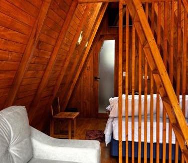 Papallacta Cabin | Termas Magenta VIP