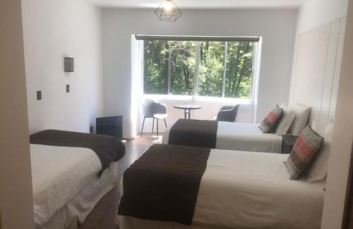 Palguin Alto Hotel | Termas Palguin Pucón