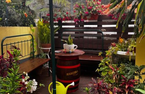 Sao Vicente House | Terra Chã Cottage,FEEL Home,