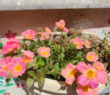 Capaci House | Terra e Mare