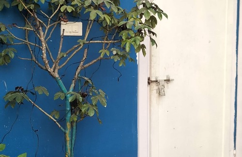 Sualkuchi Cottage | Terrace Cottage