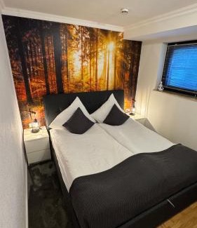 Laddeken Apartment | Teufelsberg Panorama mit Sauna und Bergblick