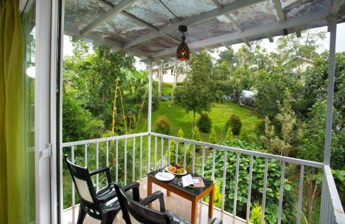 Anachal Resort | The Arbour Resort Munnar