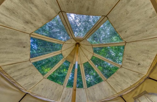 Rogersville Other | The Aries-a stargazing, luxury glamping tent