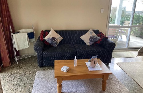 Waihi Beach House | The Back Garden