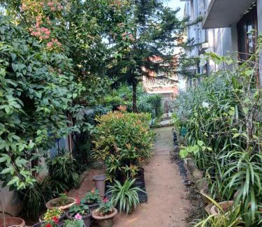 Bhubaneshwar House | The Basic