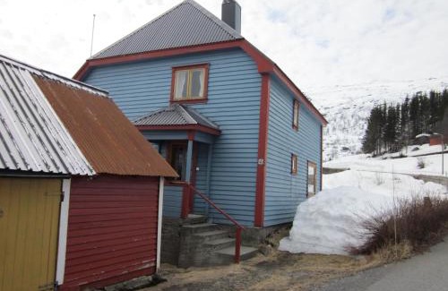 Roldal House | The blue house, Røldal