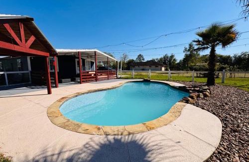 Pearland House | The Blue Oasis - Palm & Pool Retreat