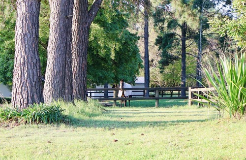 Somersby Cabin | The Charming StudionEscape to Somersby – A Peaceful, Pet-Friendly Retreat