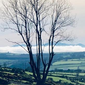 County Kerry Apartment | The Collins,Our View from The Top