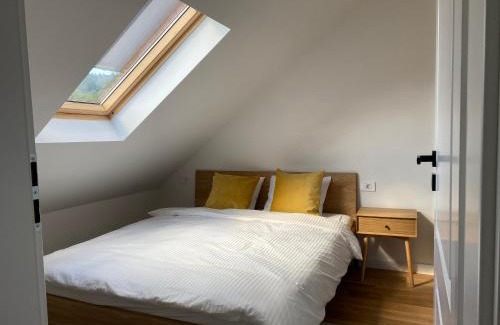 Borsa Apartment | The Cosy Attic at Casuta Fulgu'