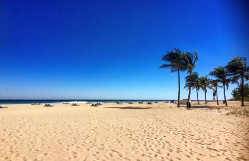 Flamingo Parks House | The Cottage Casita With Bikes & Private Pool! Home