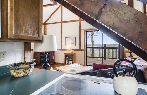 Branson West Cabin | The Cottages on Lake Bluff -nearby Table Rock Lake!