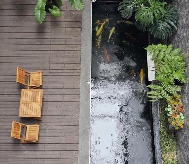 Lao Cai House | The Dang's Home in Lao Cai